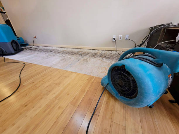 Professional Sewage Cleanup technician working in San Mateo, CA